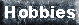 Hobbies Page