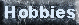 Hobbies Page